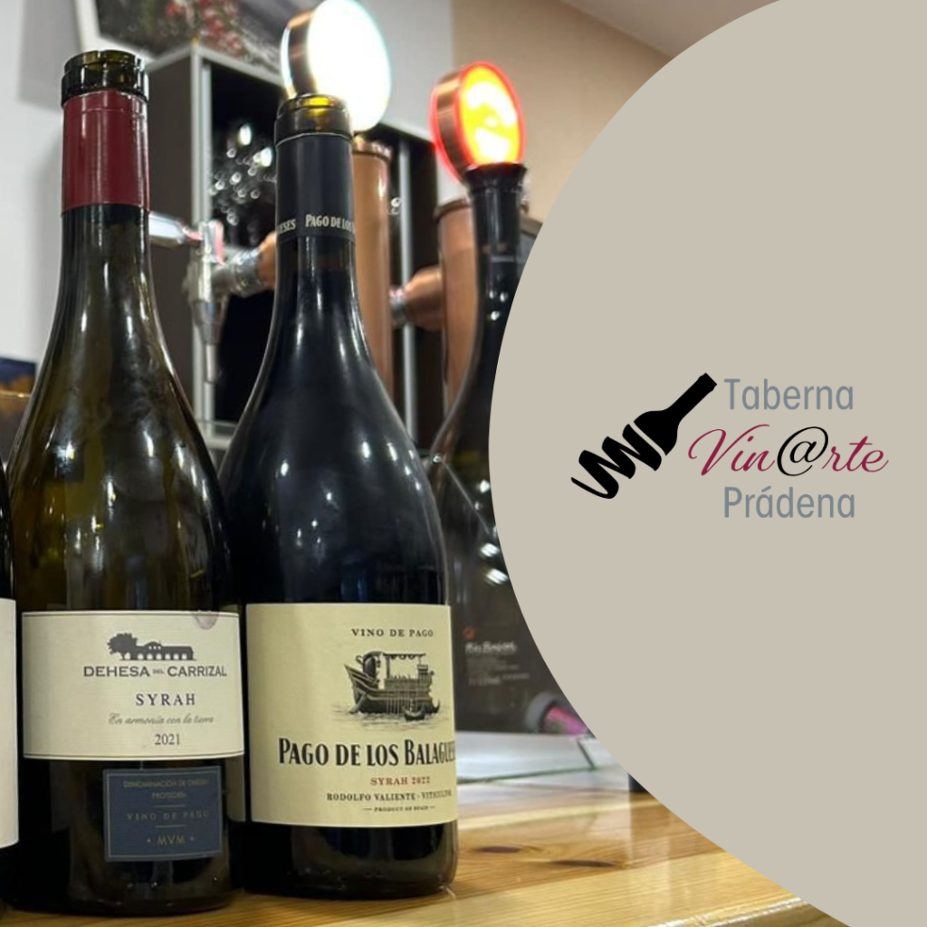 Cata Terroir Vin@rte Pradena: Dehesa y Pago