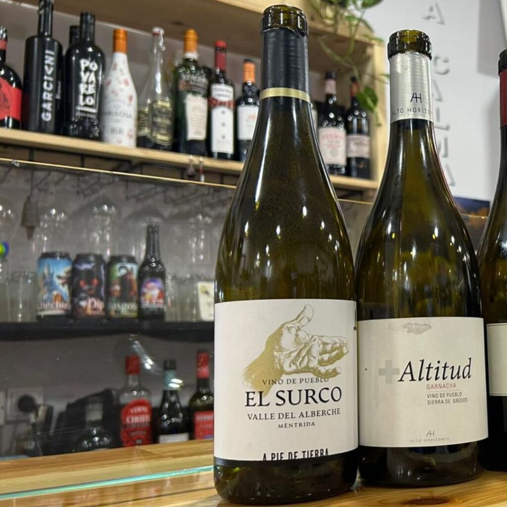 Cata Terroir Vin@rte Pradena: El Surco y + Altitud
