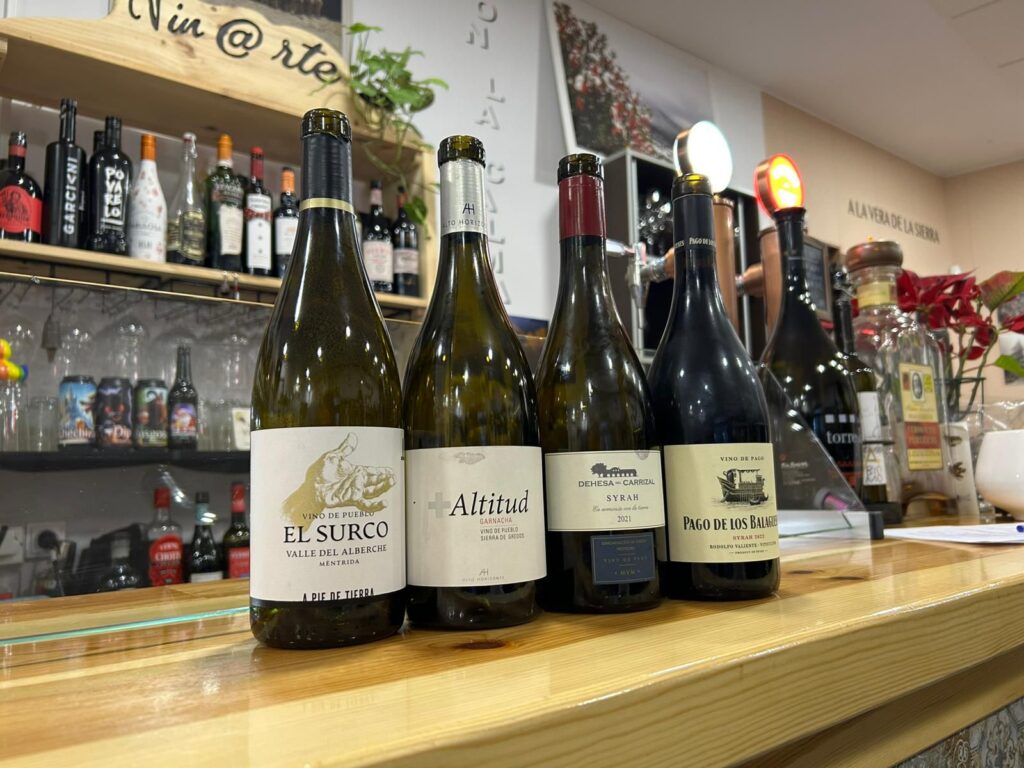 Cata terroir Vin@arte Prádena